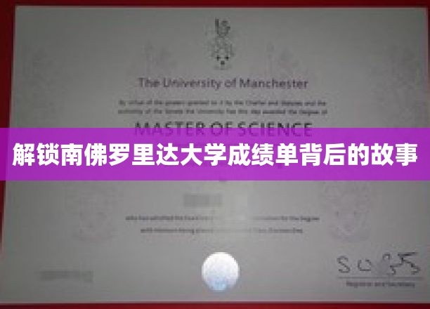 探寻南佛罗里达大学成绩单的神秘面纱
