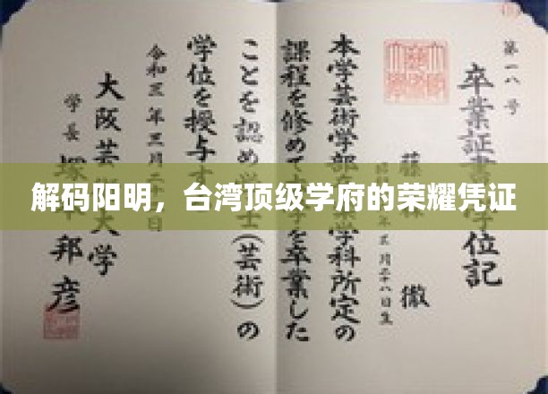 台湾顶尖学府的阳明之光，探寻荣耀背后的独特凭证