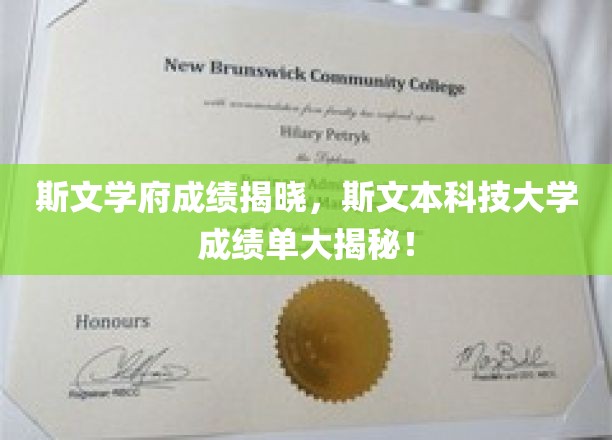 斯文本大学傲人成绩曝光，揭秘学子辉煌篇章！