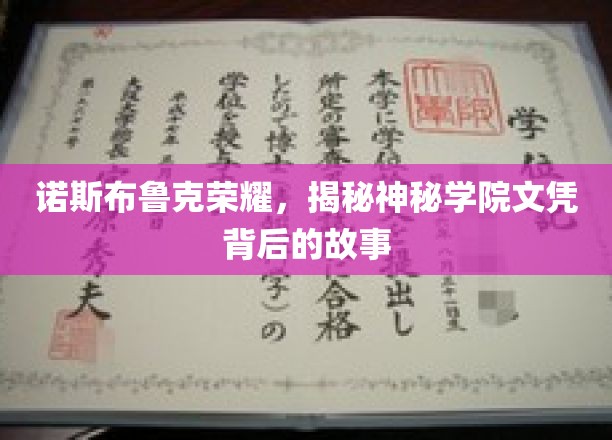 诺斯布鲁克荣耀，揭秘神秘学院文凭背后的故事
