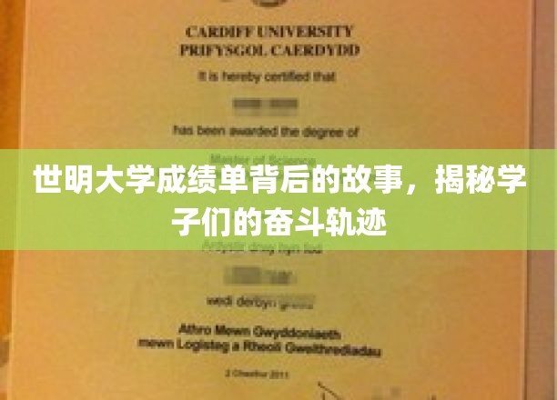 世明大学成绩单背后的故事，揭秘学子们的奋斗轨迹
