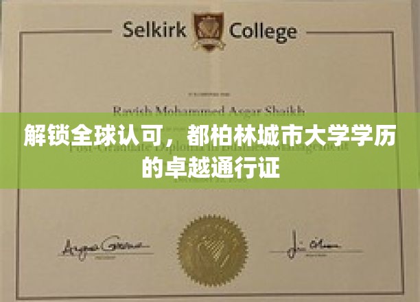 全球通行无阻，都柏林城市大学学历，你的国际通行证！