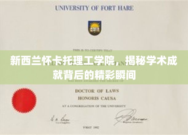 探寻新西兰怀卡托理工学院辉煌成就背后的闪耀瞬间