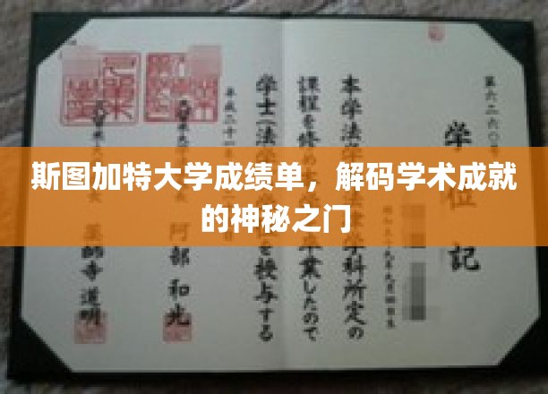 斯图加特大学成绩单，解码学术成就的神秘之门