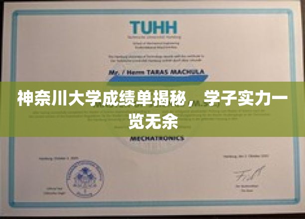 神奈川大学学霸档案大公开，成绩单背后的真实实力揭晓