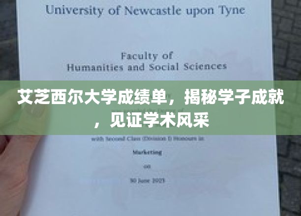 艾芝西尔大学成绩单，揭秘学子成就，见证学术风采