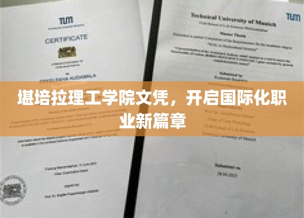 堪培拉理工学院文凭，开启国际化职业新篇章