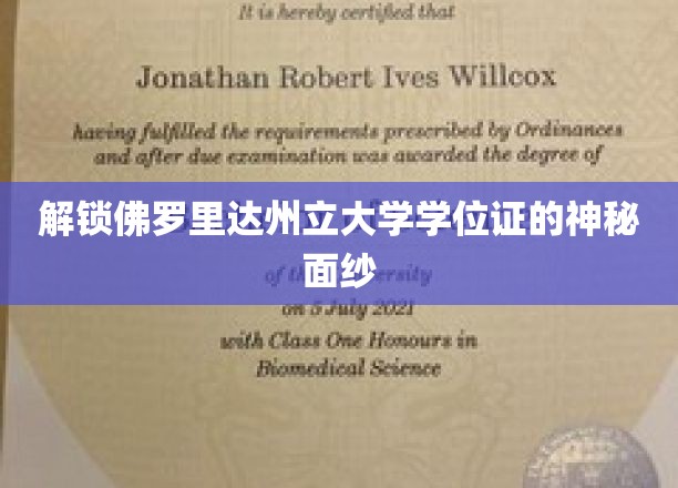 佛罗里达州立大学学位证背后的奇妙奥秘大揭秘