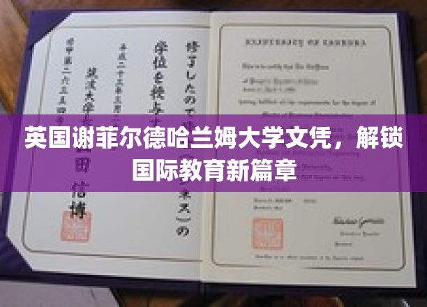 跨越英伦，谢菲尔德哈兰姆大学文凭引领国际教育新里程
