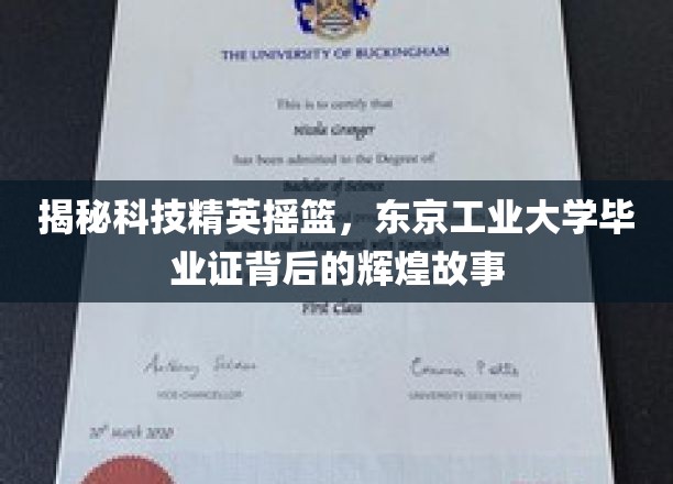 揭秘科技精英摇篮，东京工业大学毕业证背后的辉煌故事