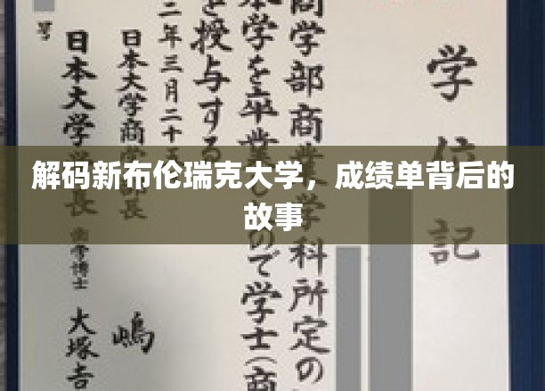 探寻新布伦瑞克大学成绩单背后的精彩人生轨迹