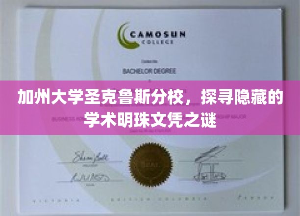 解码圣克鲁斯，揭秘加州大学的隐藏学术瑰宝