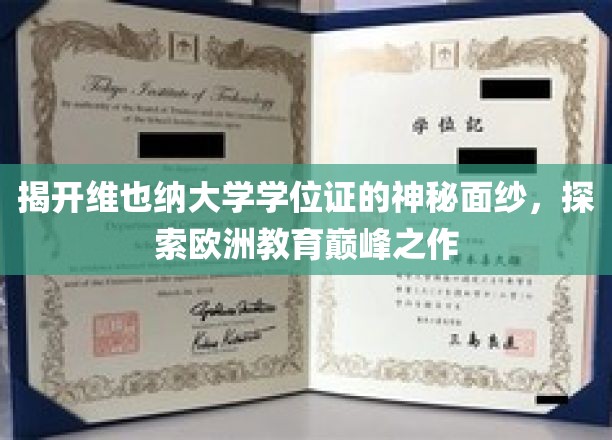 揭开维也纳大学学位证的神秘面纱，探寻欧洲教育的巅峰之作