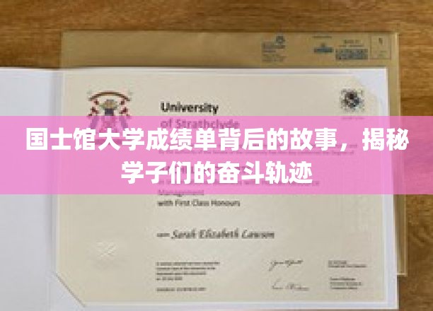 国士馆大学成绩单里的青春足迹，学子奋斗故事全景