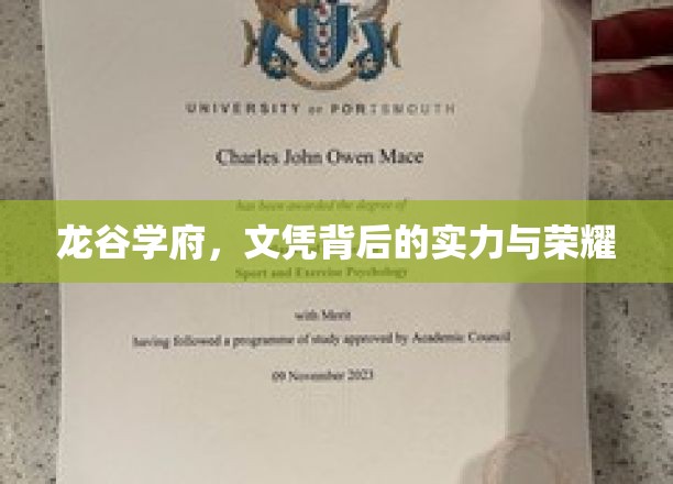 龙谷学府，文凭之光下的实力传奇与荣耀篇章