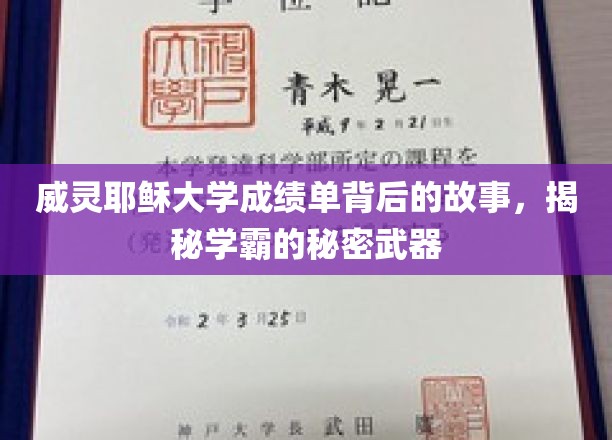 解码学霸秘籍，威灵耶稣大学成绩单背后的惊人真相