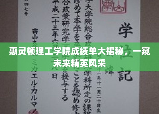 解码惠灵顿理工学院，探寻明日领袖的学术成就