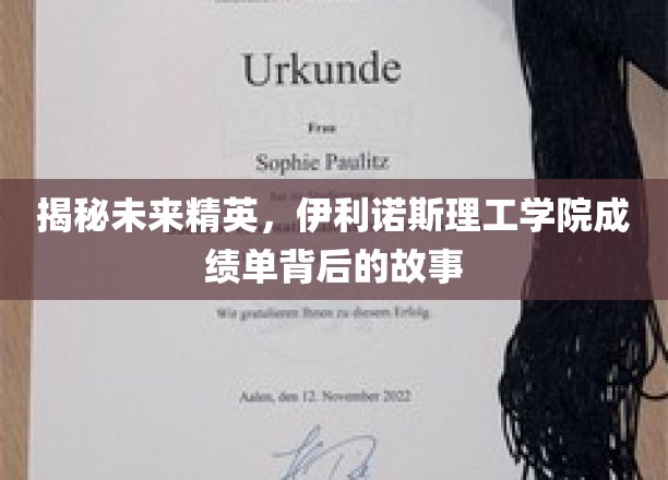揭秘未来精英，伊利诺斯理工学院成绩单背后的故事