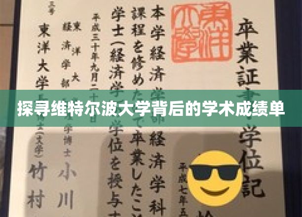 揭开维特尔波大学卓越学术成就的神秘面纱