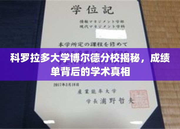 科罗拉多大学博尔德分校揭秘，成绩单背后的学术真相