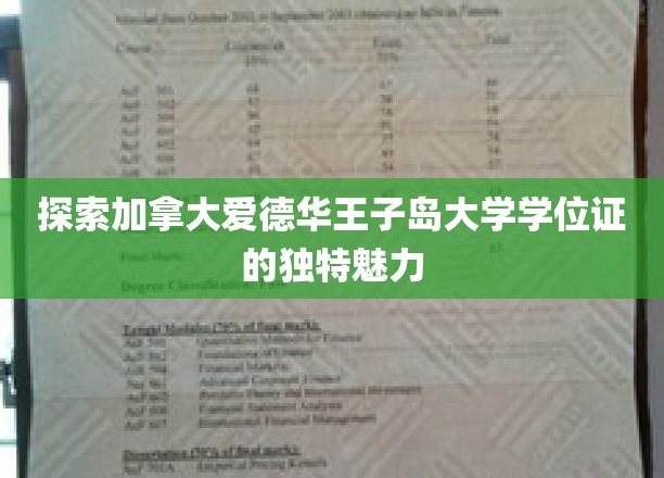探索加拿大爱德华王子岛大学学位证的独特魅力