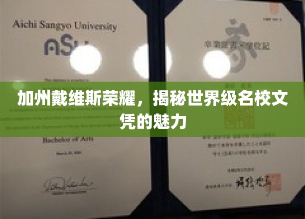 加州戴维斯璀璨之光，探寻世界顶级学府文凭背后的荣耀