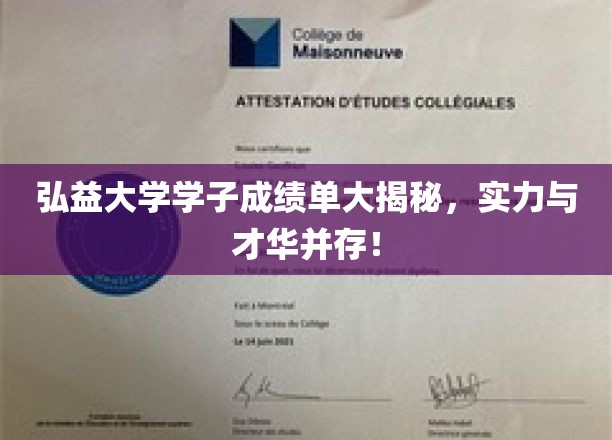 弘益大学学子成绩单大揭秘，实力与才华并驾齐驱！