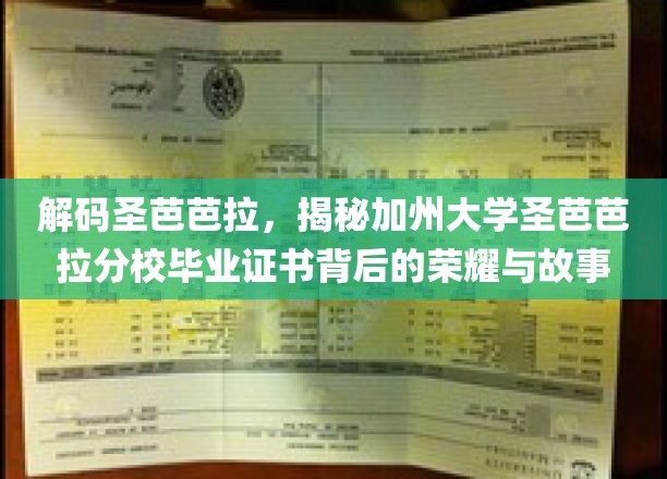 加州圣芭芭拉荣耀解码，一纸毕业证书背后的传奇之旅