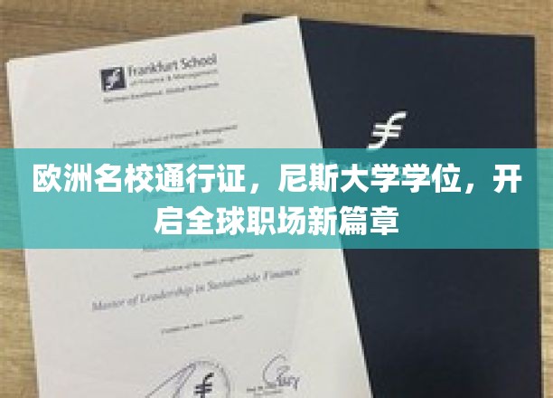 跨国职场敲门砖，尼斯大学学位，助你征服全球职场舞台