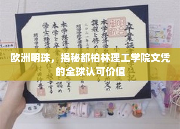 都柏林理工学院文凭，闪耀全球，开启无限可能的教育明珠
