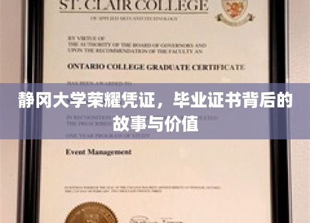 静冈大学毕业证书，揭开荣耀背后的非凡历程与珍贵意义