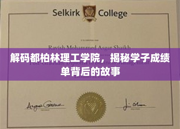 深度解码都柏林理工学院，揭示学子成绩单背后的故事