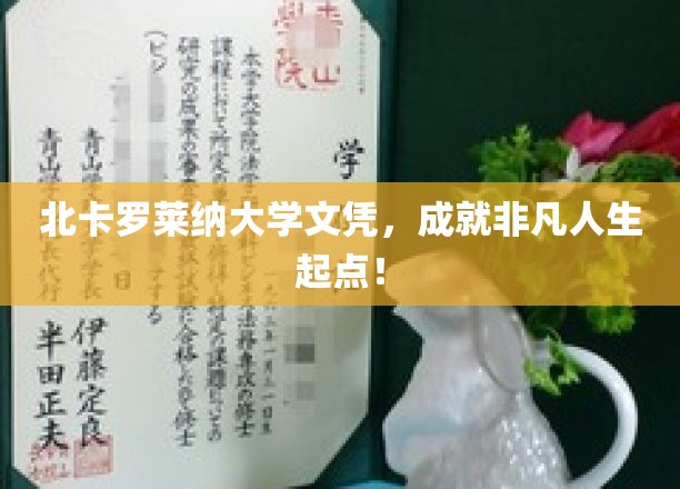 北卡罗莱纳大学文凭，开启非凡人生新篇章