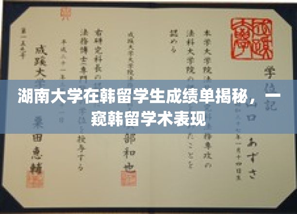湘韩学子学术风采，湖南大学留学生成绩单大揭秘！