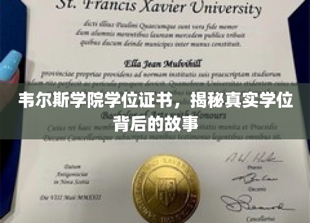 韦尔斯利学院学位证书，揭秘真实学位背后的故事