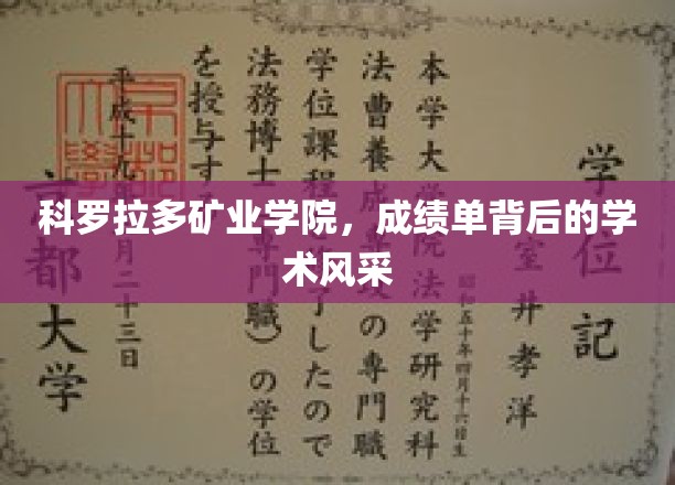 科罗拉多矿业学院，成绩单背后的学术风采