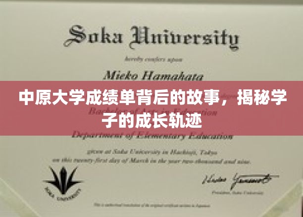 中原大学成绩单背后的故事，探寻学子的成长轨迹
