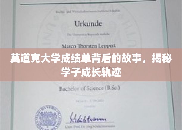 莫道克大学成绩单背后的故事，揭秘学子成长轨迹