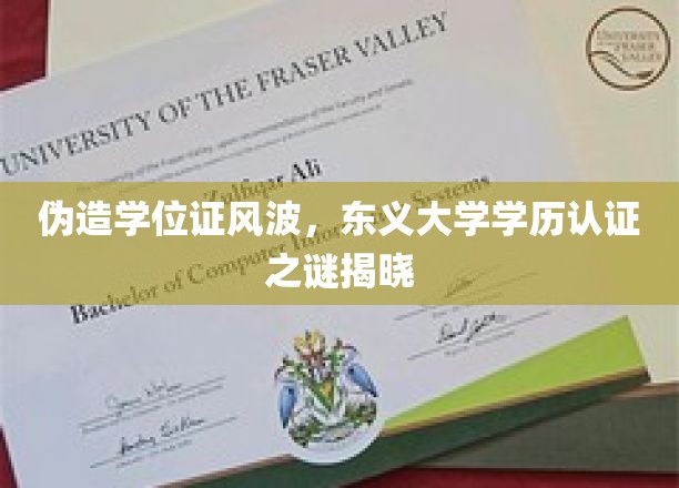 东义大学学历认证疑云，伪造学位证风波背后真相揭晓