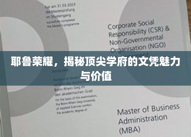 解码耶鲁荣耀，顶尖文凭背后的非凡魅力与深远价值