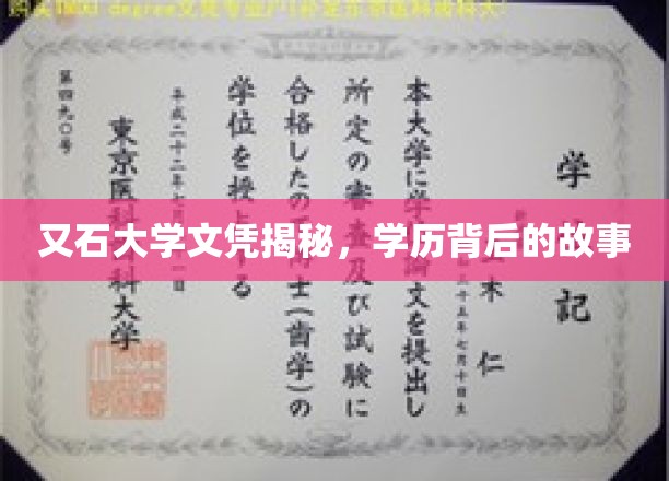 学历光环背后的真实，又石大学文凭的非凡历程