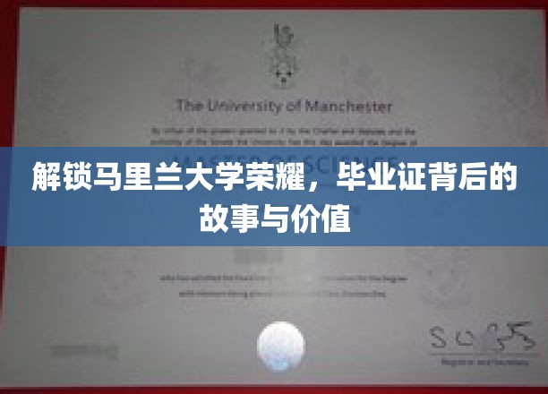马里兰大学荣耀揭秘，毕业证背后的传奇与价值探寻