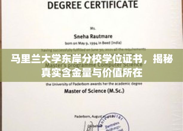马里兰大学东岸分校学位证书，揭秘其背后的高含金量与非凡价值