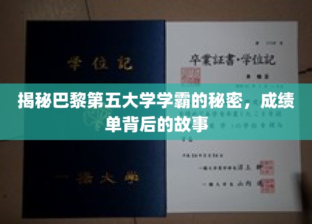巴黎第五大学学霸养成记，揭开成绩单背后的神秘面纱