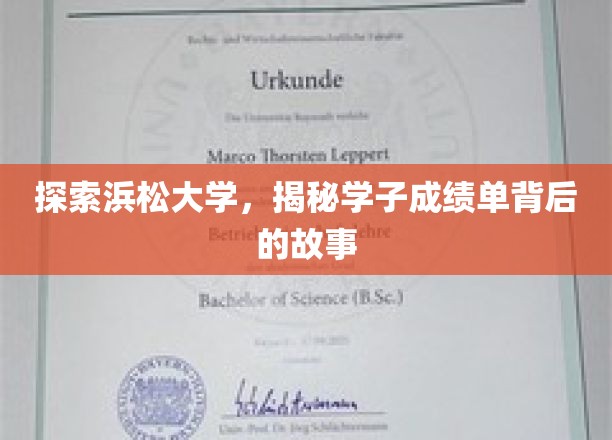 揭开浜松大学学子成绩单的神秘面纱，背后的故事与成长轨迹