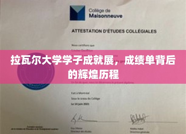 青春足迹，拉瓦尔学子辉煌成就背后的精彩篇章