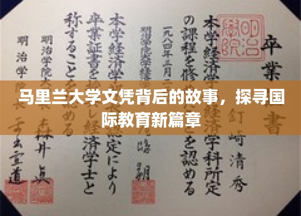 马里兰大学文凭背后的传奇，解码国际教育新纪元