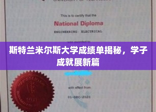 斯特兰米尔斯大学成绩单揭秘，学子成就展现新篇章