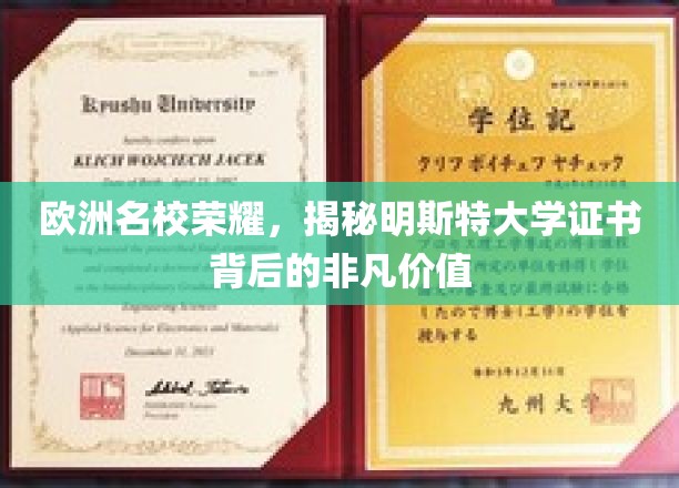 欧洲名校荣耀，揭秘明斯特大学证书背后的非凡价值
