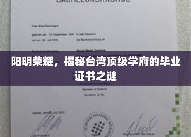 解码台岛名校，阳明之光，毕业证书背后的秘密世界